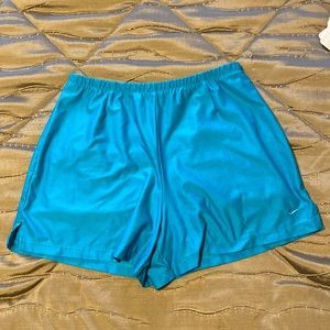 Nike Fit Dry Shorts